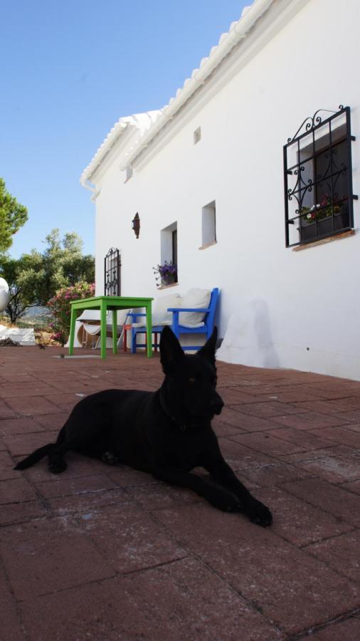 Casa Del Cielo Appartement Frigiliana Buitenkant foto